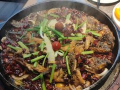 -老板恋上鱼(恒隆广场店)