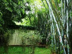 -深圳仙湖植物园