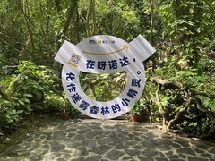 -呀诺达热带雨林