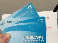 -龙阳路磁悬浮列车总站-停车场