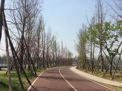 -白鹭湾湿地公园