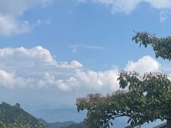 -娄山关景区