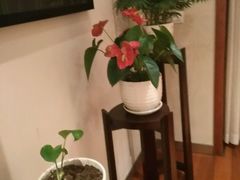 -黔蘑菇四季餐厅(观山湖店)