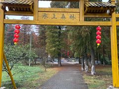 -渌洋湖湿地公园