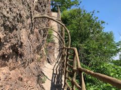 -天女山森林公园