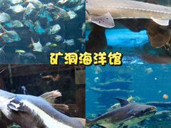 -长鹿旅游休博园