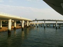 -演武大桥观景平台