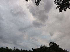 -广州长隆国际大马戏