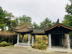 -铁山坪森林公园