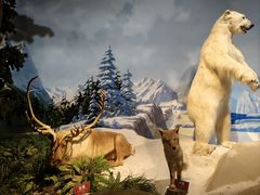 -陕西自然博物馆