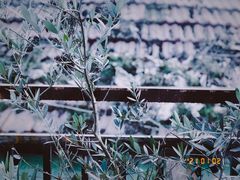 -大水的店(昙华林店)