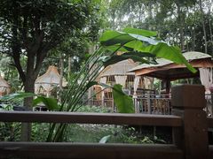 -二荆条·蜀鲜汇城市森林火锅