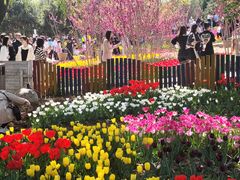 -石家庄市植物园
