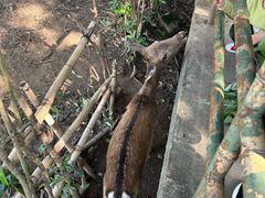 -合肥野生动物园