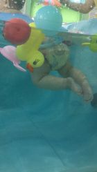 点击看大图 -趣游baby swim婴童游泳·盐氧护(旭辉u天地店)