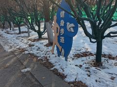 -长白岛森林公园