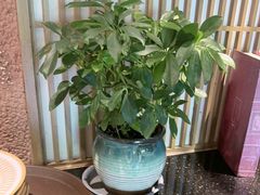 -丹江渔村(望京店)