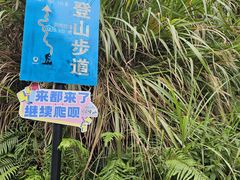-广州市帽峰山景区