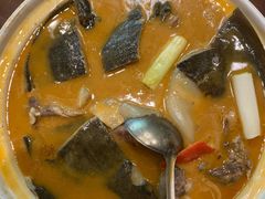红煨甲鱼-潇湘甲鱼村(清河店)