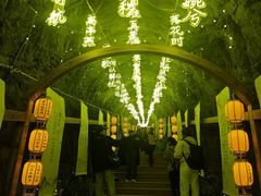 -秦岭天竺山生态文化旅游景区