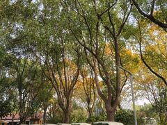 -昆山城市生态森林公园