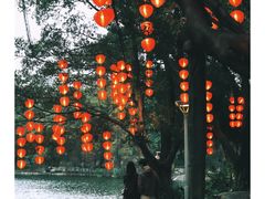 -荔湾湖公园