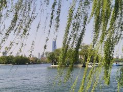 -济南大明湖景区