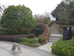 -浙江安吉JW万豪酒店·万豪中餐厅