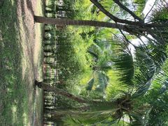 -白沙门生态公园