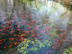 -水磨沟公园
