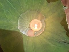 -曲廊院(东四十一条店)