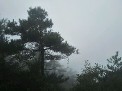 -四明山国家森林公园
