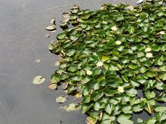 -同里国家湿地公园