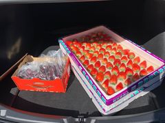 -西郊国际农产品交易中心