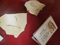 -辽宁古生物博物馆