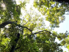 -七仙岭温泉国家森林公园