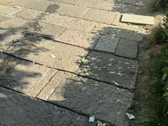 -观潮胜地公园