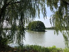 -梁鸿国家湿地公园