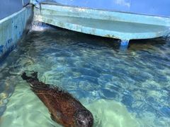 -太平洋海底世界