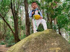 -火炉山森林公园