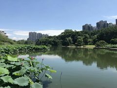 -金山公园