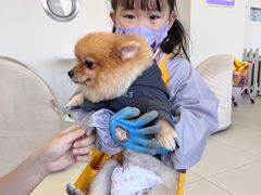 -怪兽屋·羊驼·猫咖·狗咖(俊华广场店)