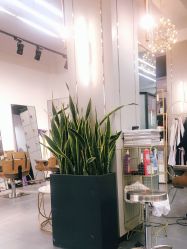 -FUTURE HN男士发型风格设计