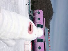 -长春莲花山滑雪场