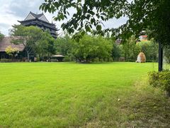 -长兴太湖图影湿地文化园