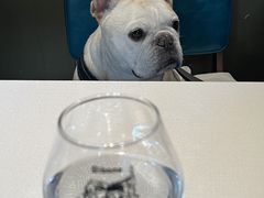 -弗兰克牛排西餐厅Ribone steak house(柠檬花园店)