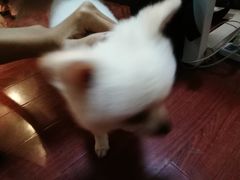 -零几体验diy皮具工作室(振业城店)