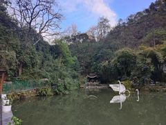 -黔灵山公园