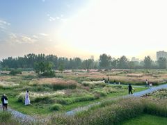 -汉长安城未央宫国家考古遗址公园