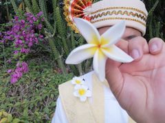 -曼听御花园